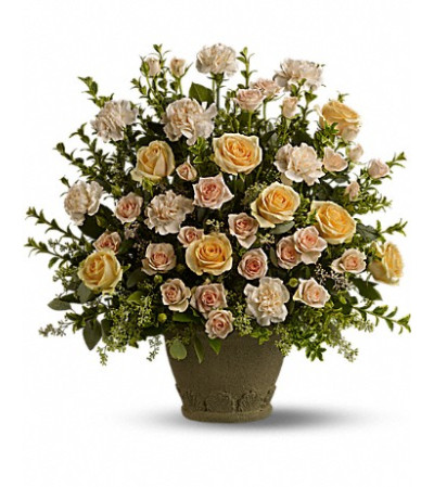 rose rememberance rose rememberance