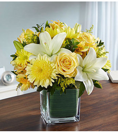 Healing Tears™ Yellow and White Healing Tears™ Yellow and White