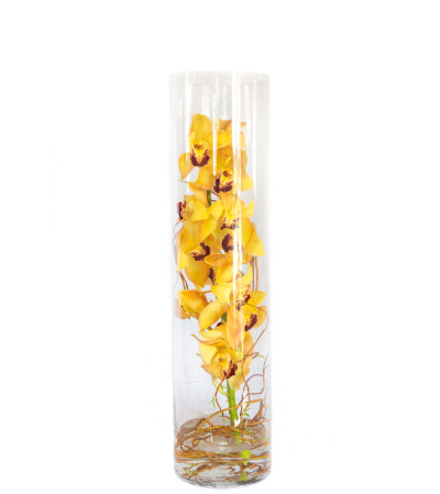 Orchid Cylinder Orchid Cylinder