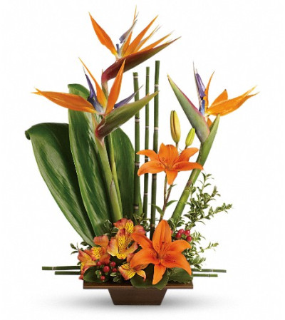Teleflora's Exotic Grace Teleflora's Exotic Grace