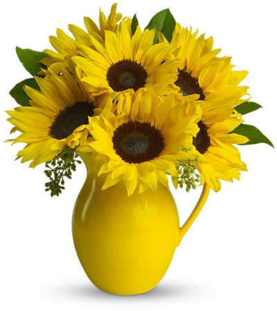 Teleflora's Sunny Day Pitcher of Sunflowers Teleflora's Sunny Day Pitcher of Sunflowers