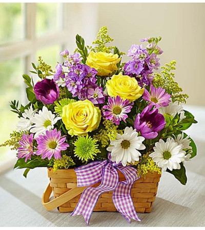 Springtime Wishes- Medium Springtime Wishes- Medium
