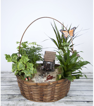 Garden Setting Fairy Garden Garden Setting Fairy Garden