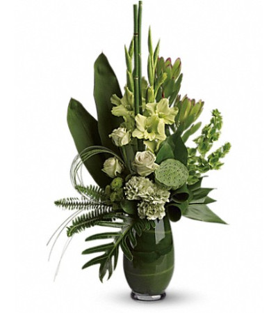 SPLASH OF LIMELIGHT BOUQUET SPLASH OF LIMELIGHT BOUQUET