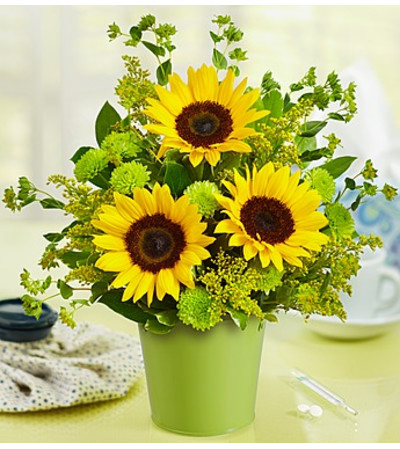 Get Well Soon Bouquet in Green Tin Get Well Soon Bouquet in Green Tin