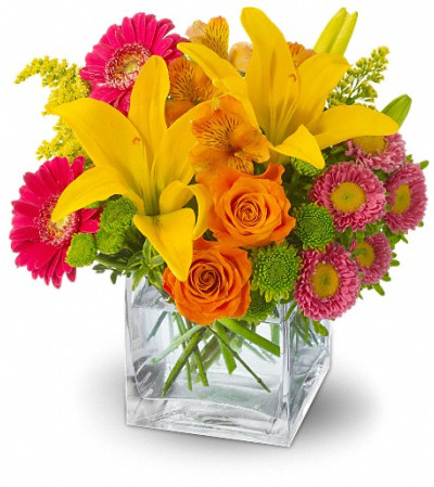 Teleflora's Summertime Splash Teleflora's Summertime Splash