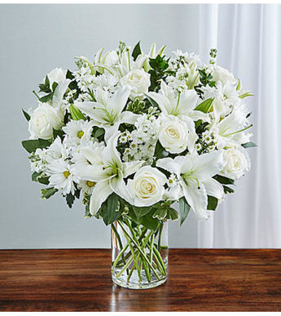 Sincerest Sorrow - All White Sincerest Sorrow - All White
