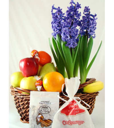 Fruit & Planter Basket Fruit & Planter Basket