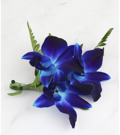 Blue Orchid Boutonniere Blue Orchid Boutonniere