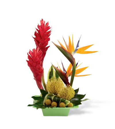 The FTD® Exotica™ Arrangement The FTD® Exotica™ Arrangement