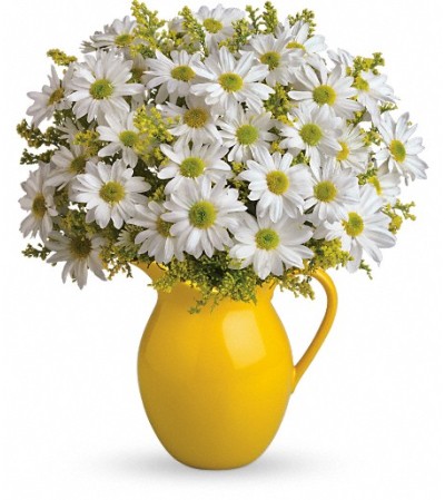 Teleflora's Sunny Day Pitcher of Daisies Teleflora's Sunny Day Pitcher of Daisies