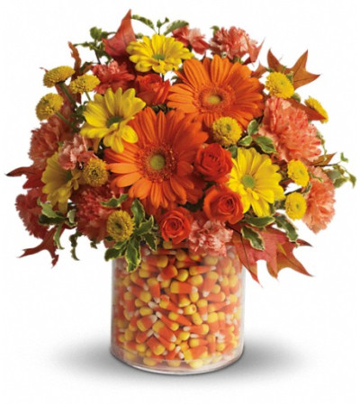 Teleflora's Candy Cornie Teleflora's Candy Cornie