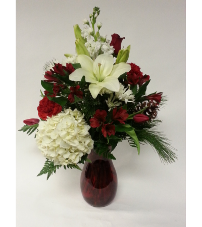 Red and White Wishes Red and White Wishes