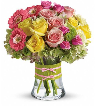 Fashionista Blooms Fashionista Blooms