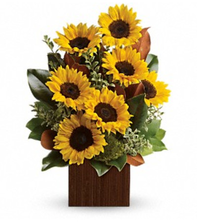 STUNNING SUNFLOWERS STUNNING SUNFLOWERS