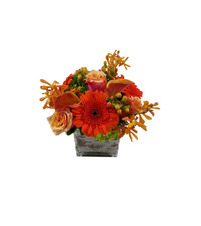Rustic Tangerine Textures Rustic Tangerine Textures