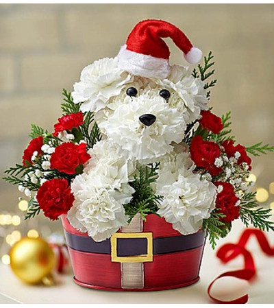 Santa Paws™ Santa Paws™