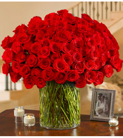 100 Premium Roses 100 Premium Roses