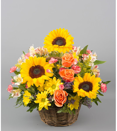 Sunflowers for Days Sunflowers for Days