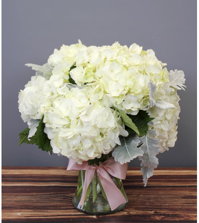Simply Hydrangea Simply Hydrangea