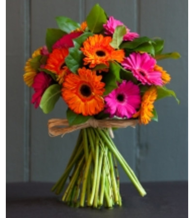 Colorful Gerbera Daisies Bokay Colorful Gerbera Daisies Bokay