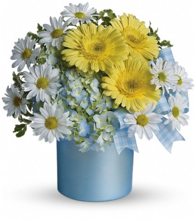 Teleflora's Once Upon a Daisy Teleflora's Once Upon a Daisy