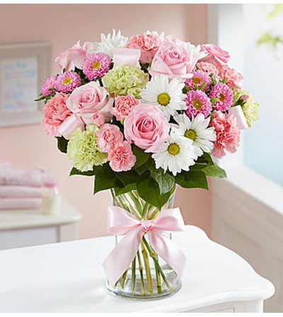 Sweet Baby Girl™ Arrangement Sweet Baby Girl™ Arrangement