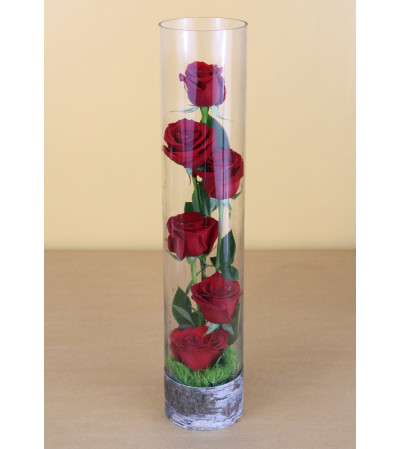 Glass of Love Glass of Love