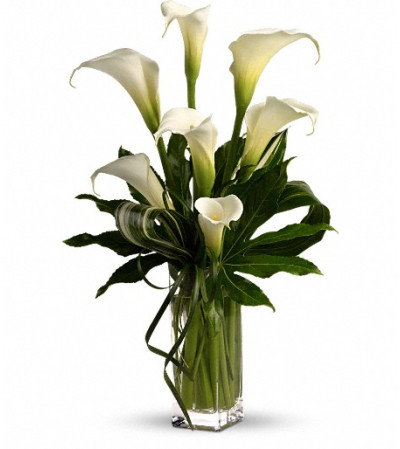 My Fair Lady by Teleflora My Fair Lady by Teleflora