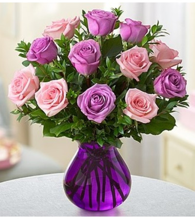 Rose Romance - Pink and Purple Rose Romance - Pink and Purple