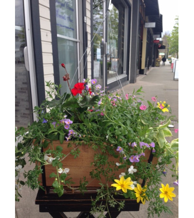 14" wood hanging planter 14" wood hanging planter