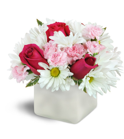 Vibrant Blooms™ Vibrant Blooms™