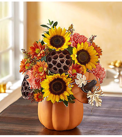 Pumpkin n’ Posies™ Pumpkin n’ Posies™