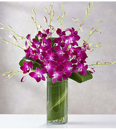 Orchid Embrace™ - Purple Orchid Embrace™ - Purple