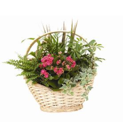 Sympathy Planter Basket Sympathy Planter Basket