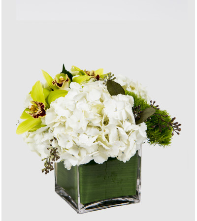 Romantic Green Romantic Green
