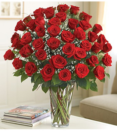 Ultimate Elegance - 4 dozen Ultimate Elegance - 4 dozen
