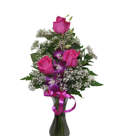 Pretti Pink and purple Pretti Pink and purple