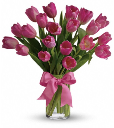 Precious Pink Tulips Precious Pink Tulips