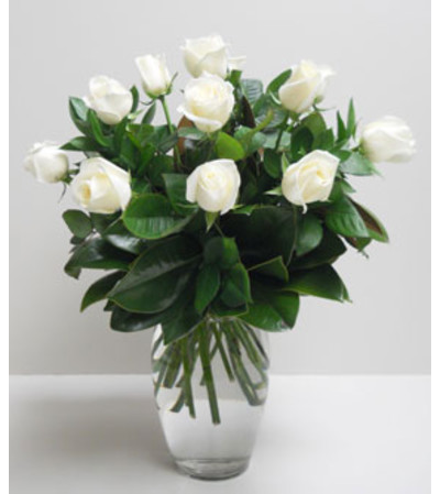 1 Dz.Elegant White Roses 1 Dz.Elegant White Roses