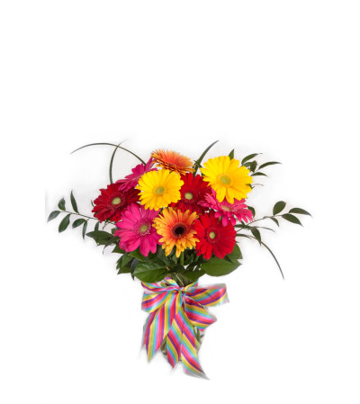 Festive Gerberas Festive Gerberas