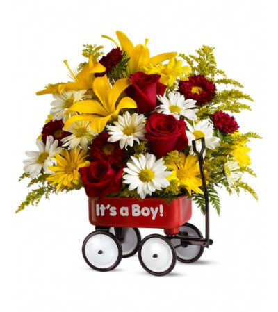 Babys First Wagon- Boy TF Babys First Wagon- Boy TF