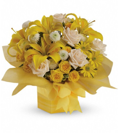 Teleflora's Sunshine Surprise Present Teleflora's Sunshine Surprise Present