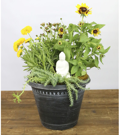 Buddha Planter Buddha Planter