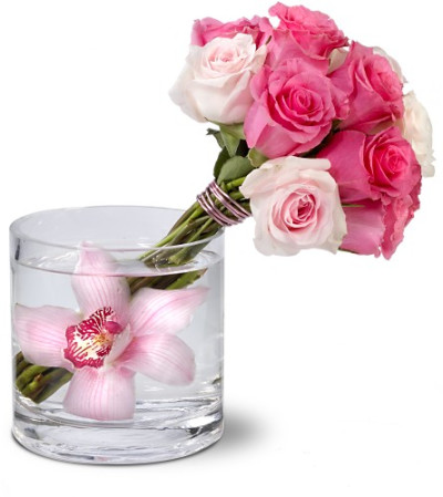 Beauty bunched Beauty bunched