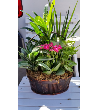 Pink Spring Planter garden Pink Spring Planter garden
