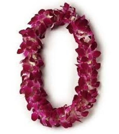 Orchid Lei Orchid Lei