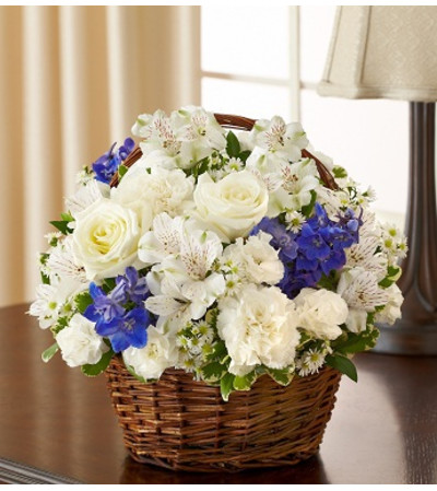 Peace, Prayers & Blessings - Blue and White Peace, Prayers & Blessings - Blue and White