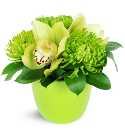 It's Easy Being Green! It's Easy Being Green!