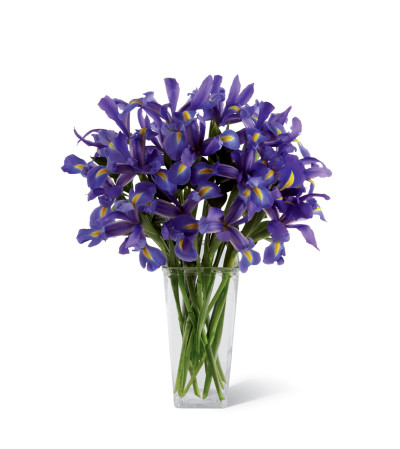 The FTD® Iris Riches™ Bouquet The FTD® Iris Riches™ Bouquet